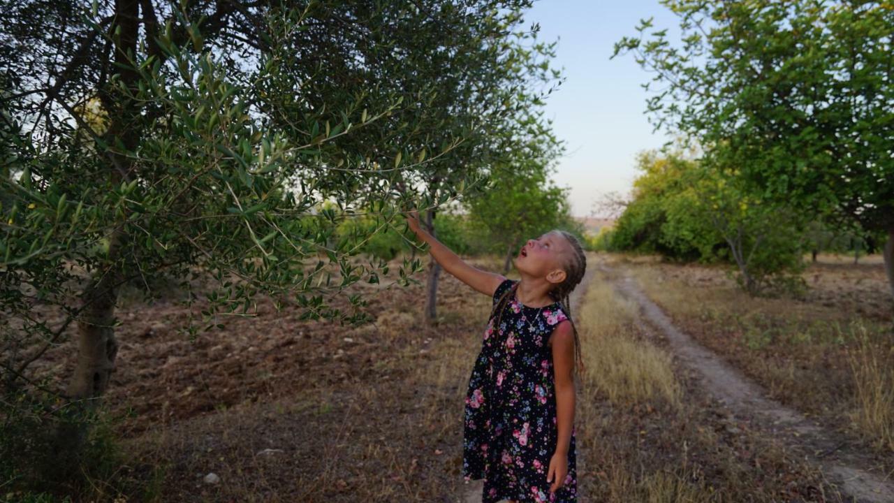 Agriturismo Gaia Villa Noto Kültér fotó