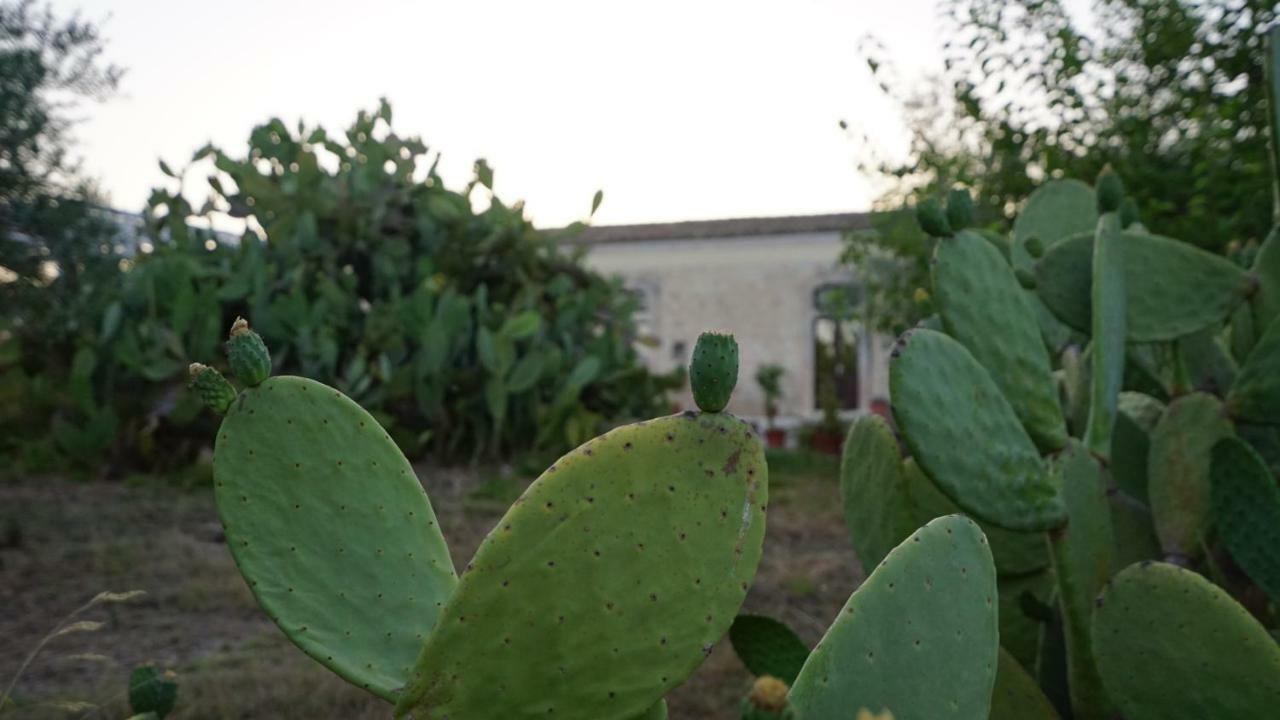 Agriturismo Gaia Villa Noto Kültér fotó